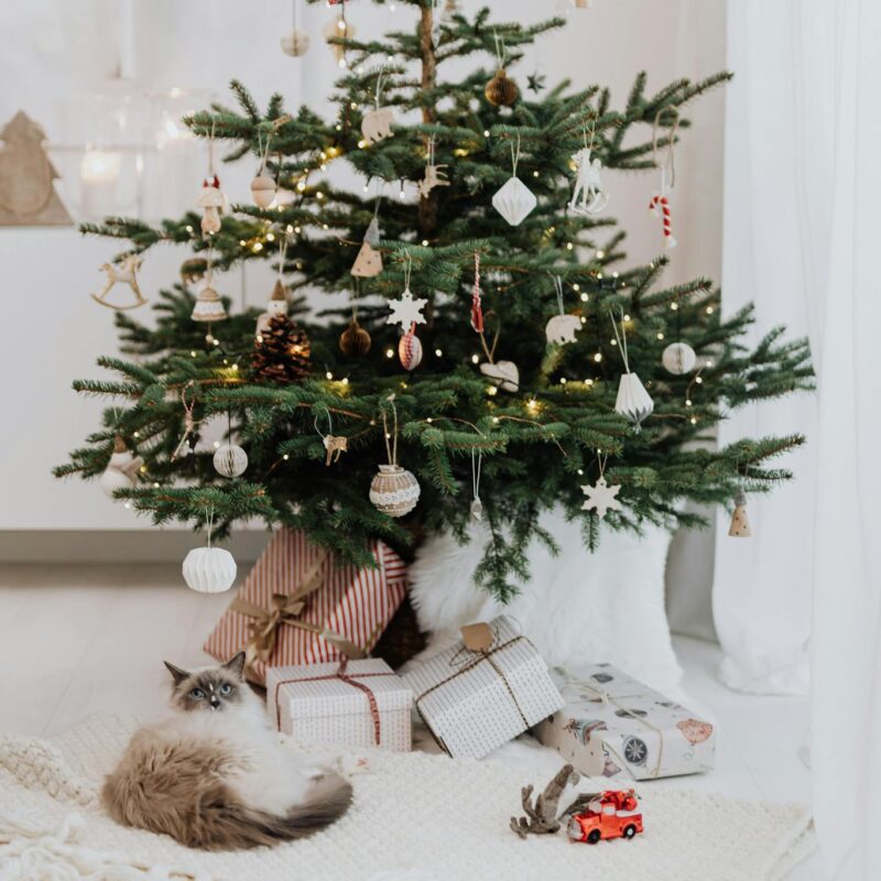 A festive Christmas tree with a cat and gifts in a warm indoor setting.