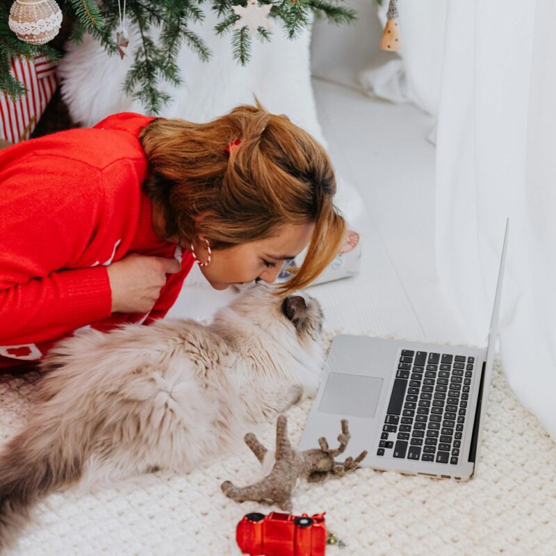 Cozy moment of a woman with her cat under a Christmas tree beside a laptop.